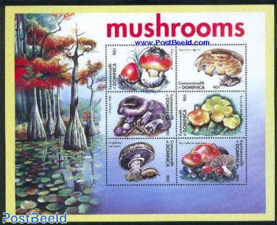 Mushrooms 6v m/s (6x0.90)