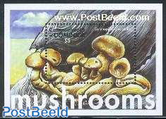 Mushrooms s/s, Gymnopilius spectabilis