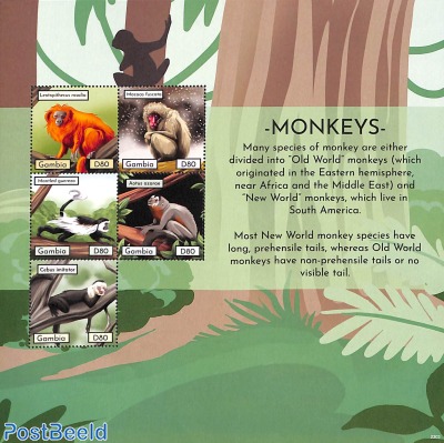 Monkeys 5v m/s