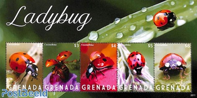 Ladybug 5v m/s