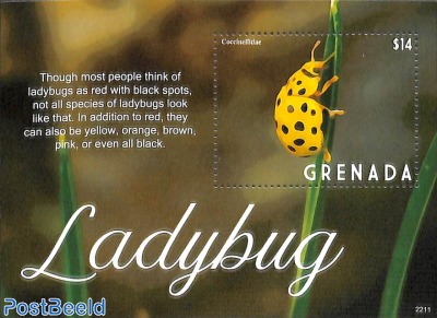 Ladybug s/s