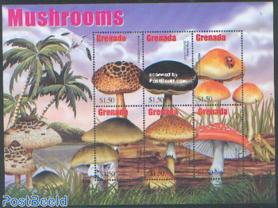 Mushrooms 6v m/s /Boletus Crocipodius