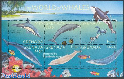 Sea mammals 6v m/s, common dolphin