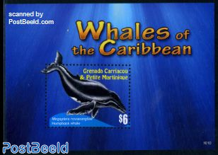 Carriacou, Whales of the caribbean s/s