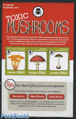 Toxic mushrooms 3v m/s