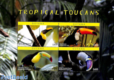 Tropical Toucans 4v m/s