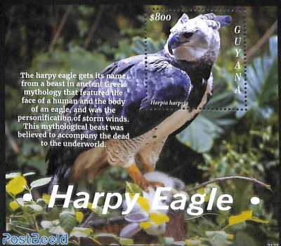 Harpy Eagle s/s