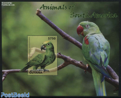 Animals of South America, Parrots s/s