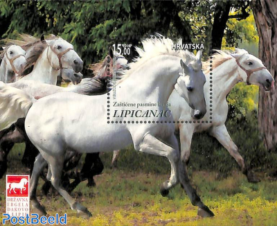 Lipizaner horses s/s