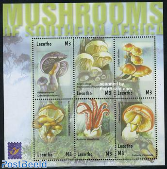 Mushrooms, Belgica 6v m/s
