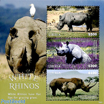 White Rhino 3v m/s