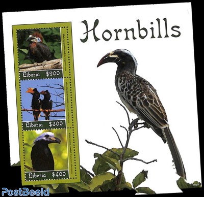 Hornbills 3v m/s