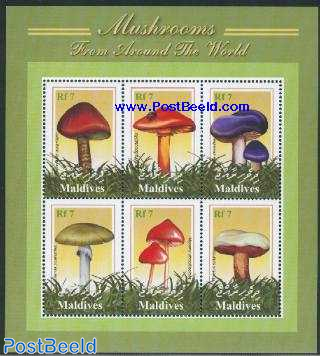 Mushrooms 6v m/s, Tricholloma aurantium