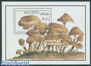 Mushrooms s/s, Armillariella mellea
