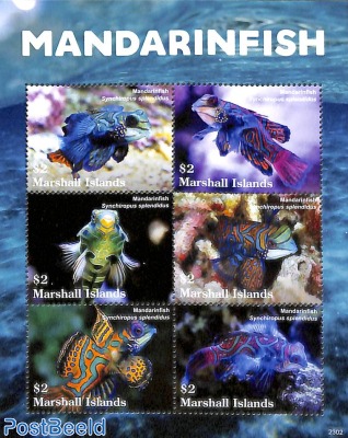 Mandarin fish 6v m/s