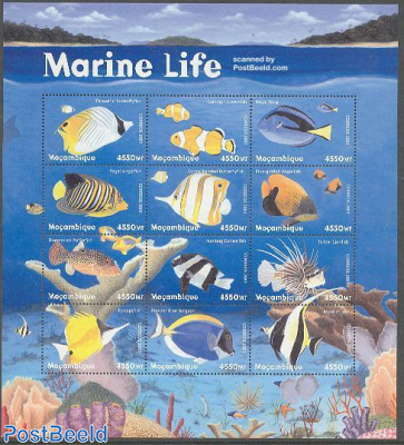 Marine life 12v m/s (Threadfin Butterflyfish a.o.)
