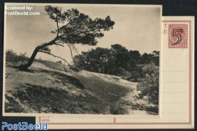 Postcard 5c on 7.5c, Landscape No. 10, Vogelenzang