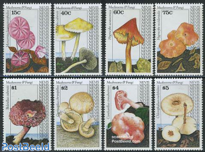 Mushrooms 8v