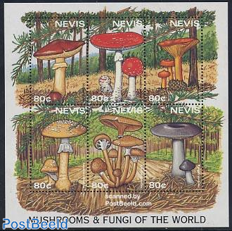 Mushrooms 6v m/s (6x80c)