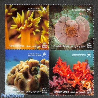 Corals 4v [+]