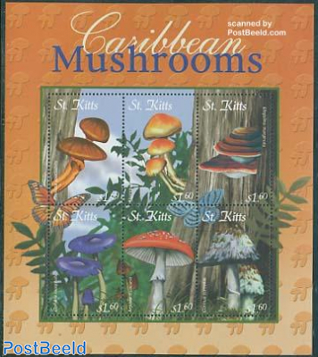 Mushrooms 6v m/s, Pholotia spectabilis