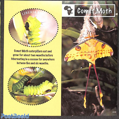 Comet Moth s/s