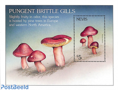 Mushrooms s/s, Russula sardonia