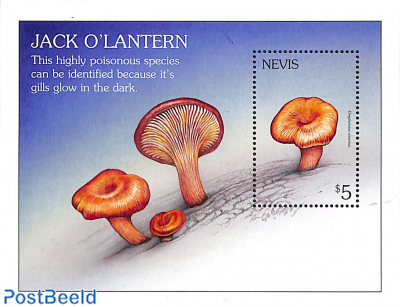 Mushrooms s/s, Omphalotus olearius