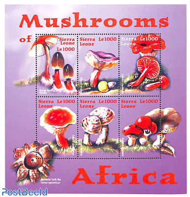 Mushrooms of Africa 6v m/s