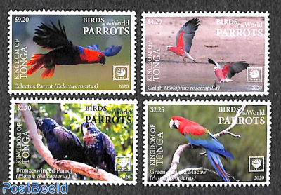 Parrots 4v