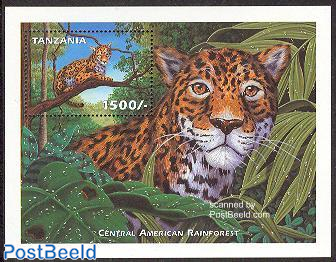 Jaguar s/s, Central American rainforest