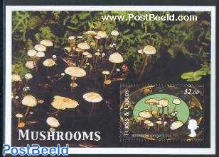 Mushroom s/s, strobilurus conigenoides