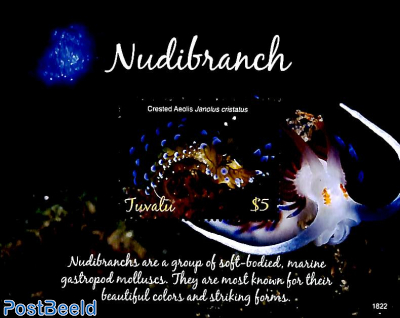 Nudibranch s/s