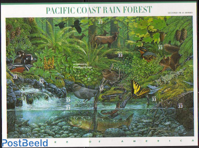 Pacific rain forest 10v m/s