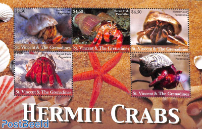 Hermit Crab 5v m/s