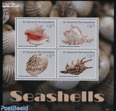 Seashells 4v m/s