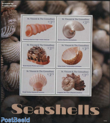 Seashells 6v m/s