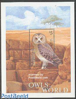 Humes owl s/s